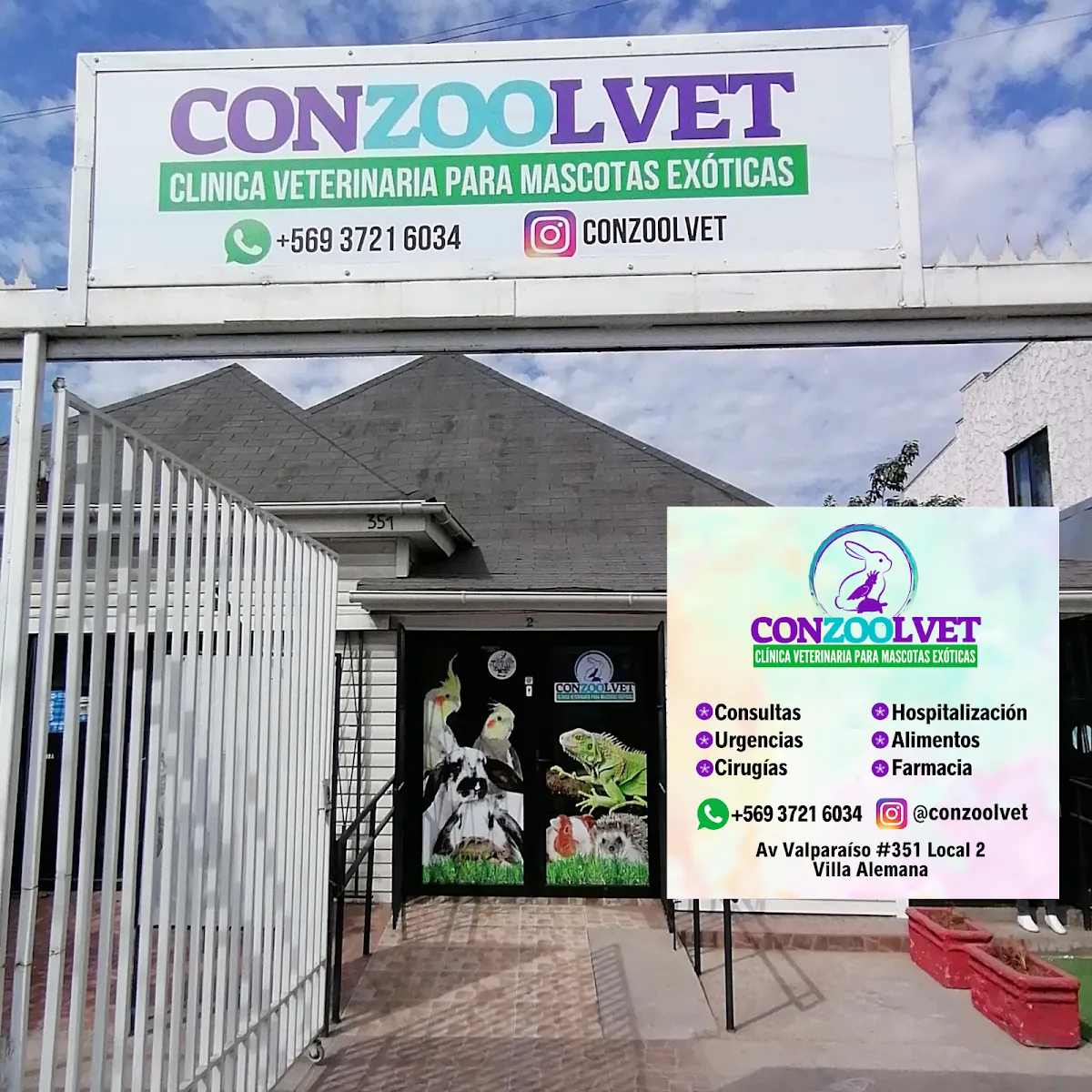 Conzoolvet - Clínica Veterinaria Especialista en Animales Exóticos