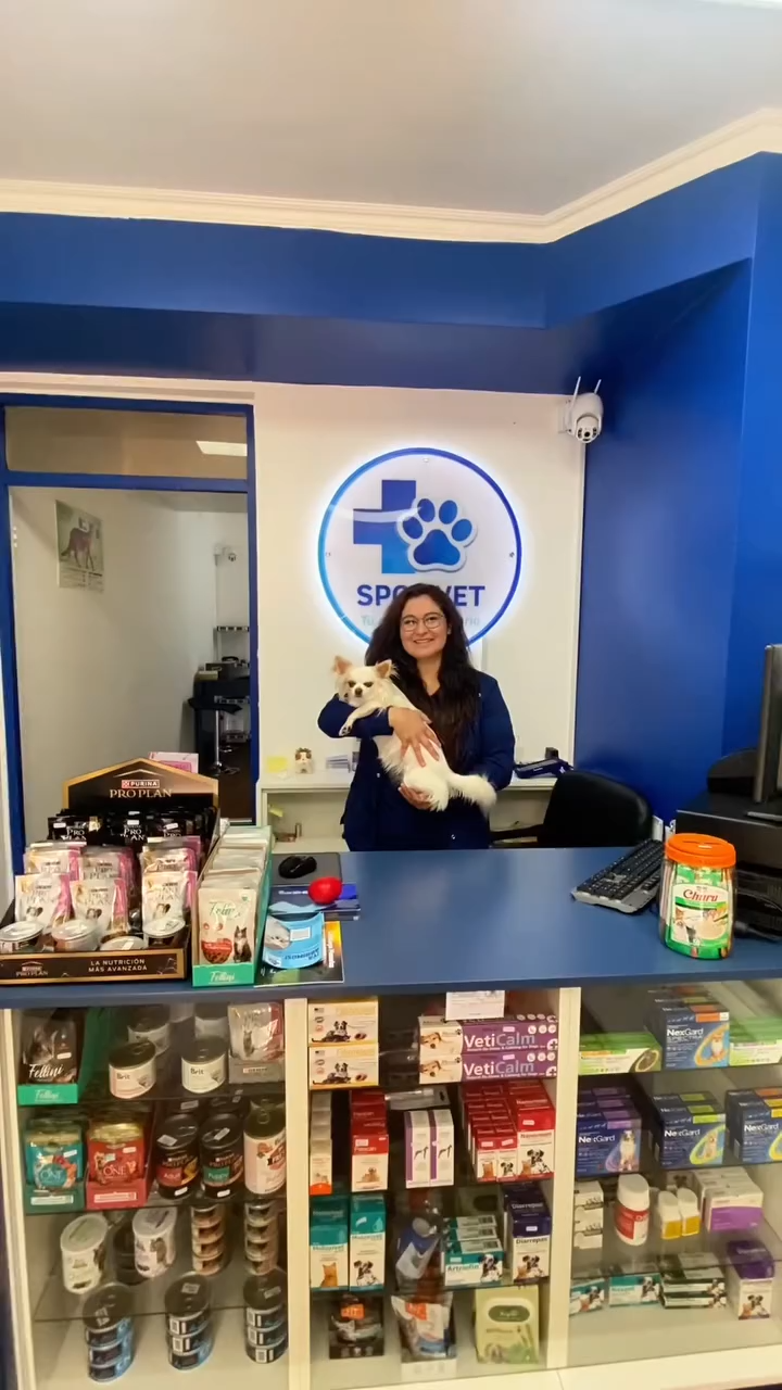 Veterinaria SpotVet en Viña del Mar
